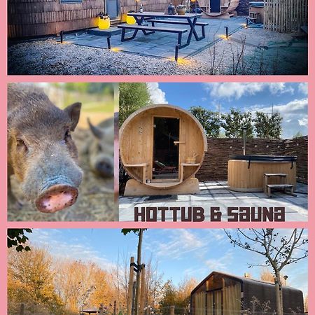Bed & Wellness Klein Knorrestein With Private Hottub And Sauna And Tandembike Rental Included In Price 阿尔梅勒 外观 照片