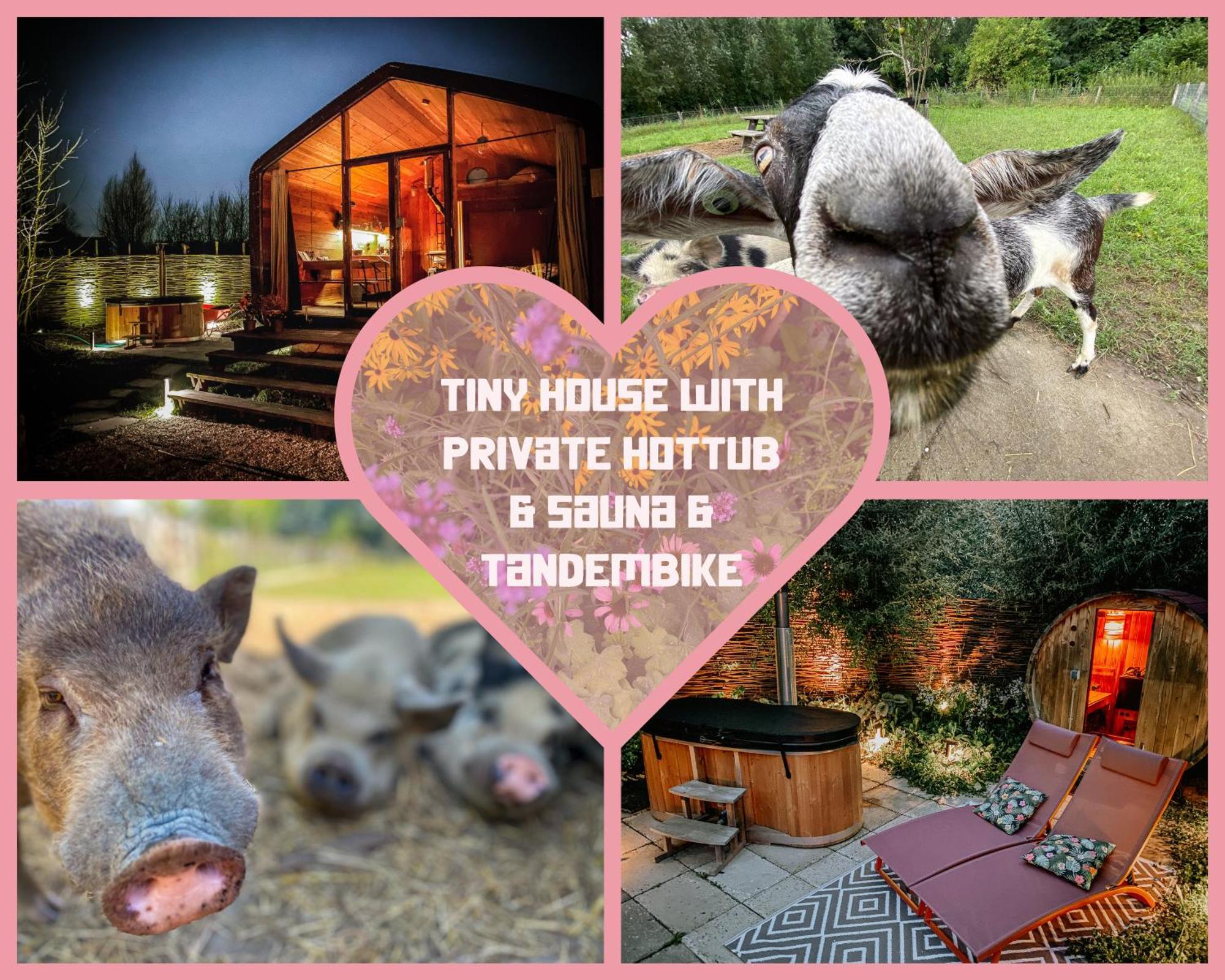 Bed & Wellness Klein Knorrestein With Private Hottub And Sauna And Tandembike Rental Included In Price 阿尔梅勒 外观 照片